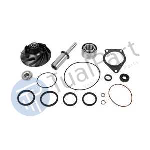 REPAIR KIT (WATER PUMP)