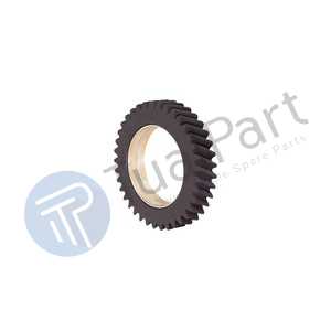 OIL PUMP GEAR