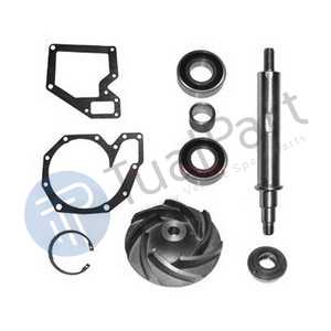 REPAIR KIT (WATER PUMP)