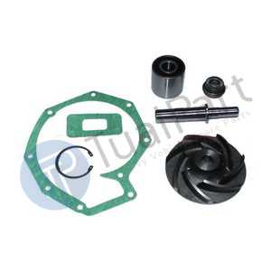 REPAIR KIT (WATER PUMP)